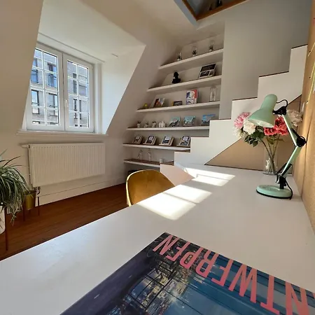 Apartment The Guide
